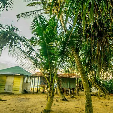 Hikkaduwa Backyard Beach Homestay Galle Eksteriør billede