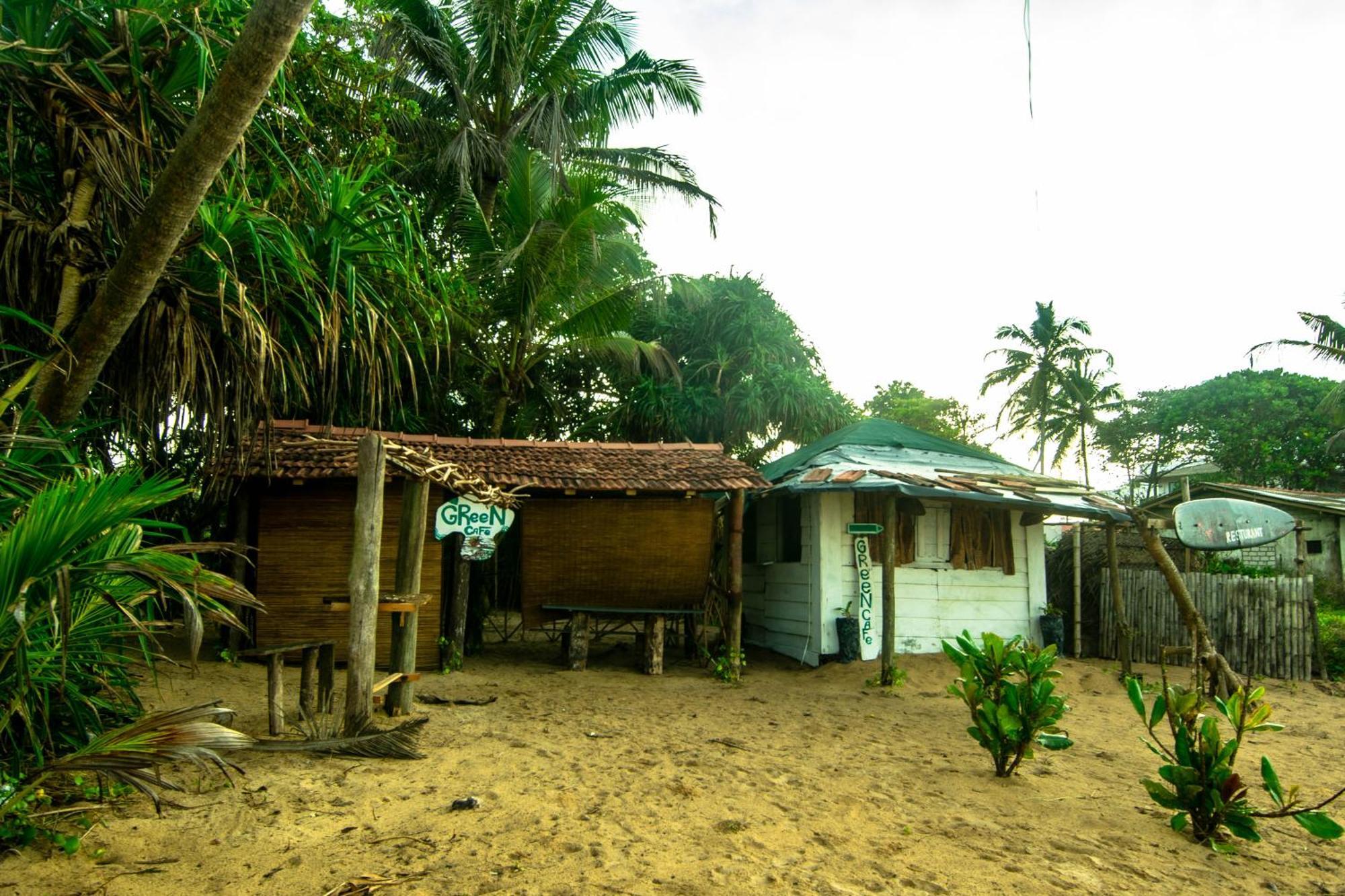 Hikkaduwa Backyard Beach Homestay Galle Eksteriør billede