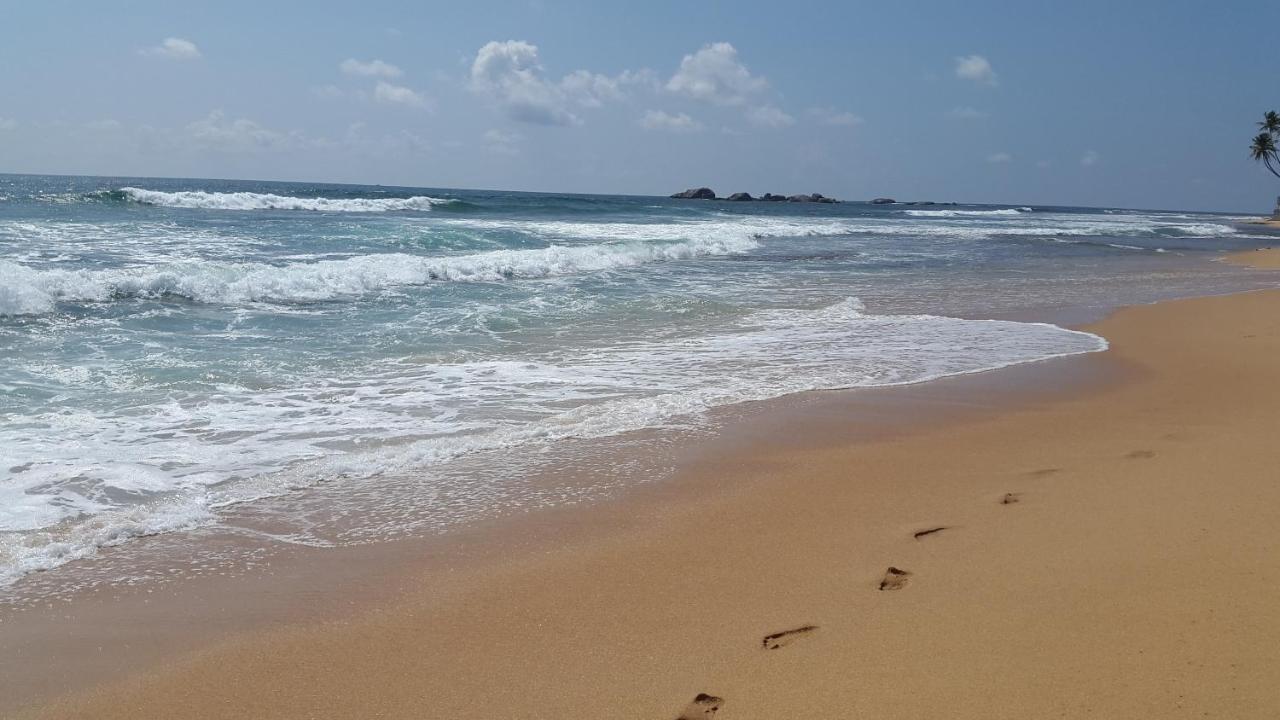 Hikkaduwa Backyard Beach Homestay Galle Eksteriør billede