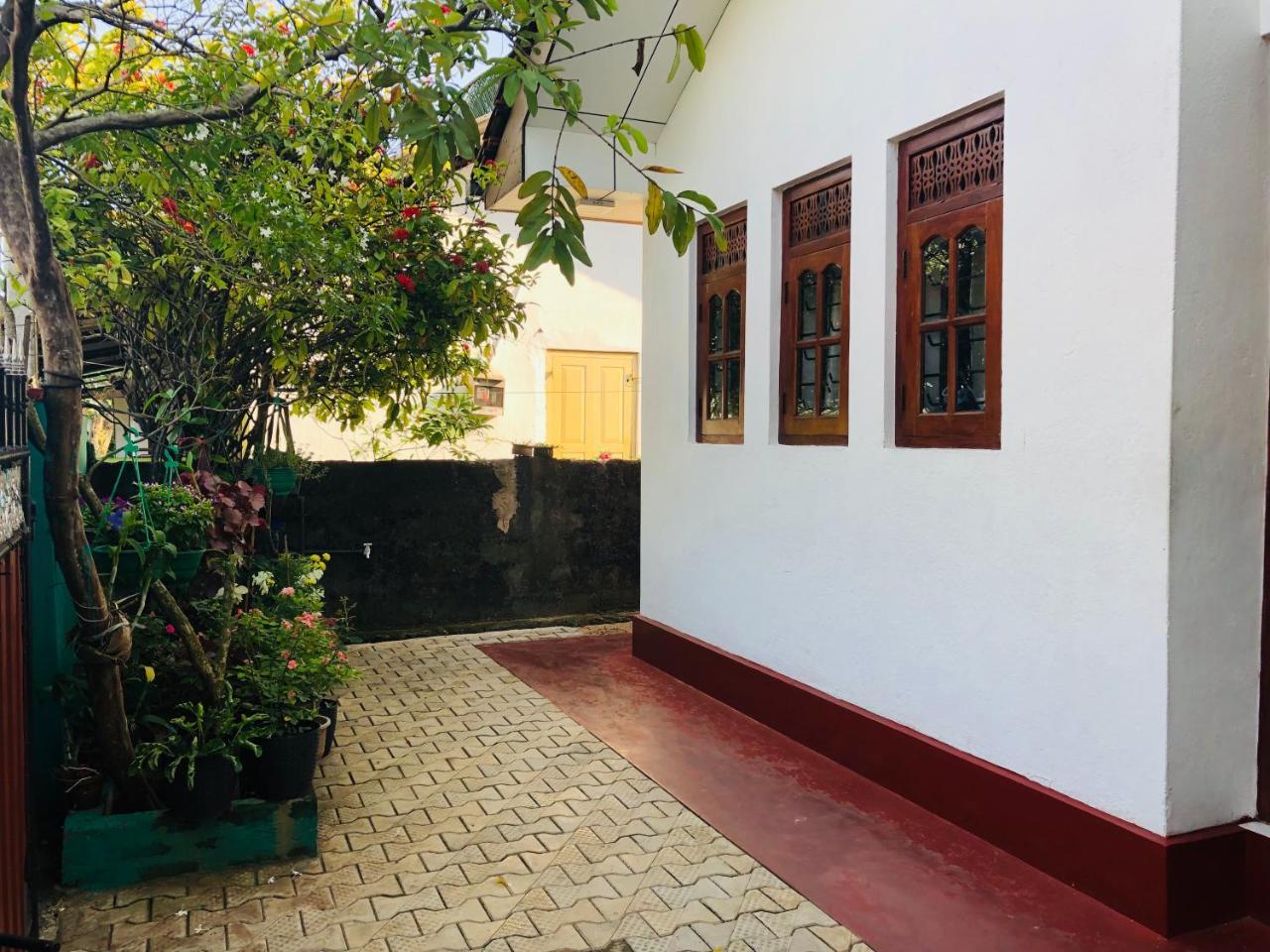 Hikkaduwa Backyard Beach Homestay Galle Eksteriør billede