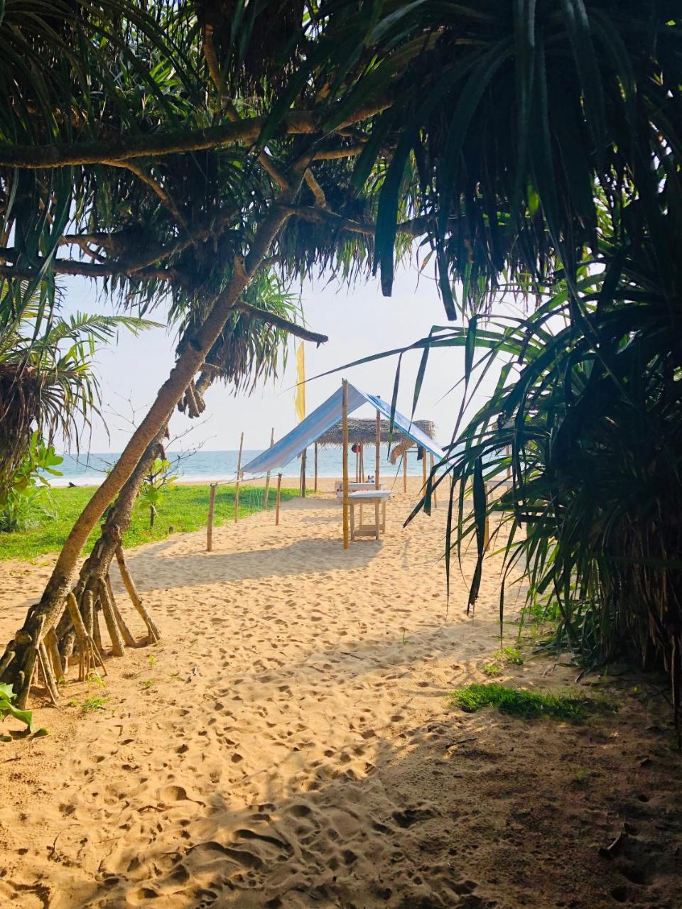 Hikkaduwa Backyard Beach Homestay Galle Eksteriør billede