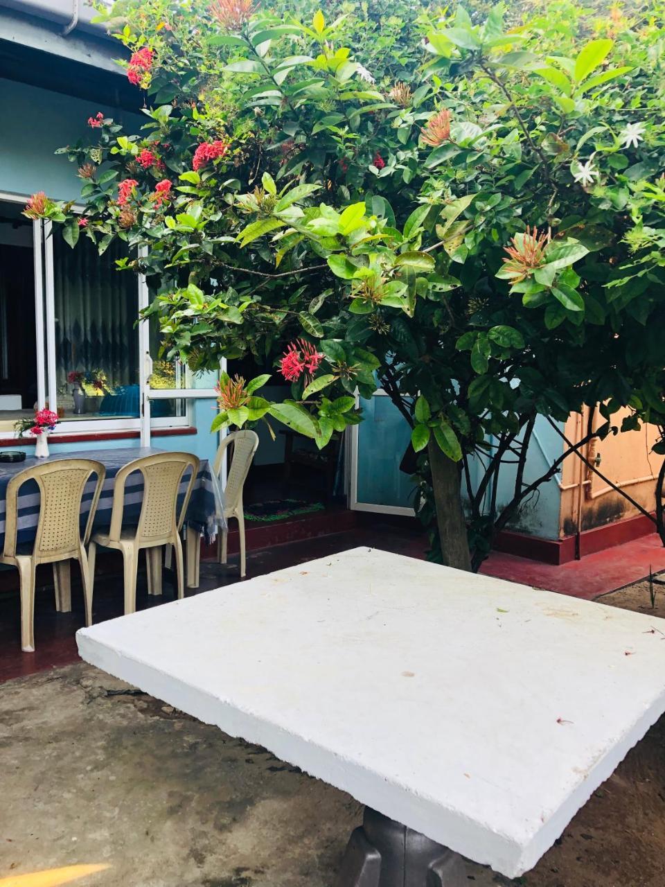 Hikkaduwa Backyard Beach Homestay Galle Eksteriør billede