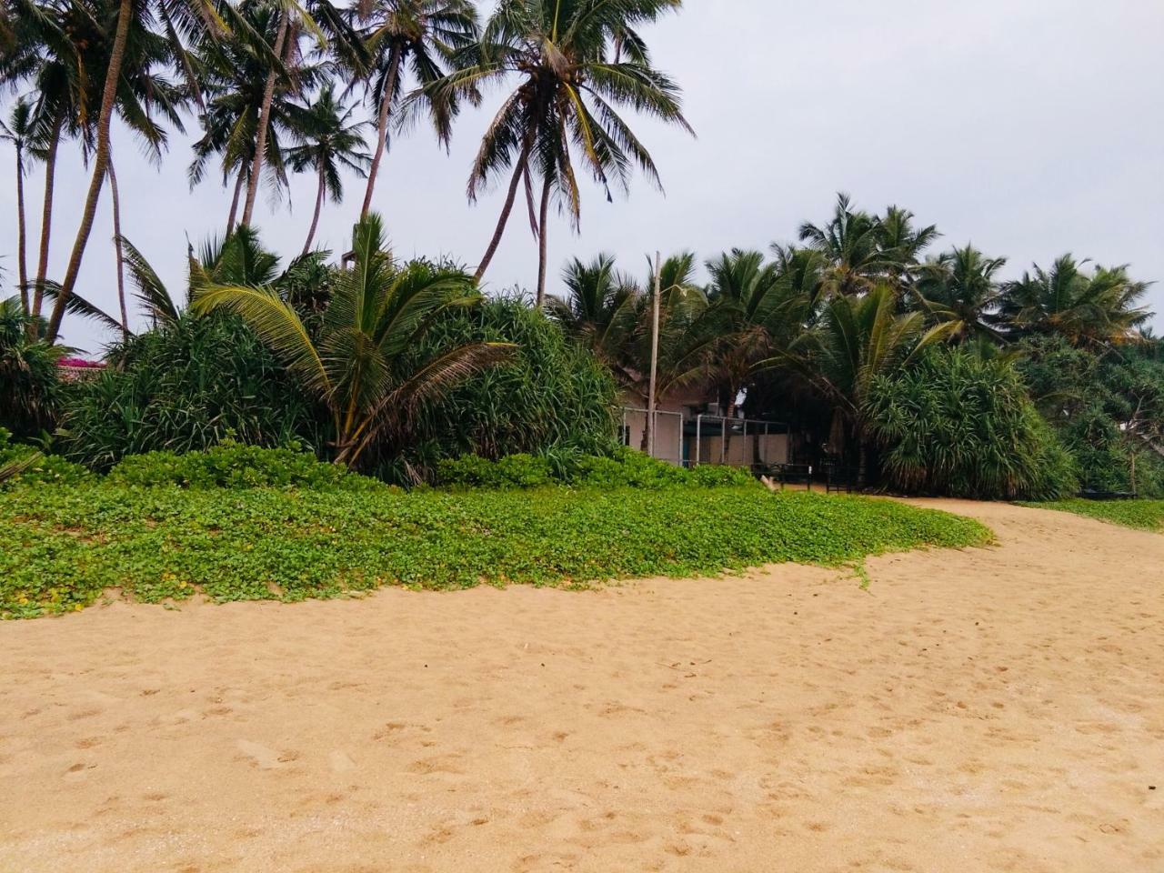 Hikkaduwa Backyard Beach Homestay Galle Eksteriør billede