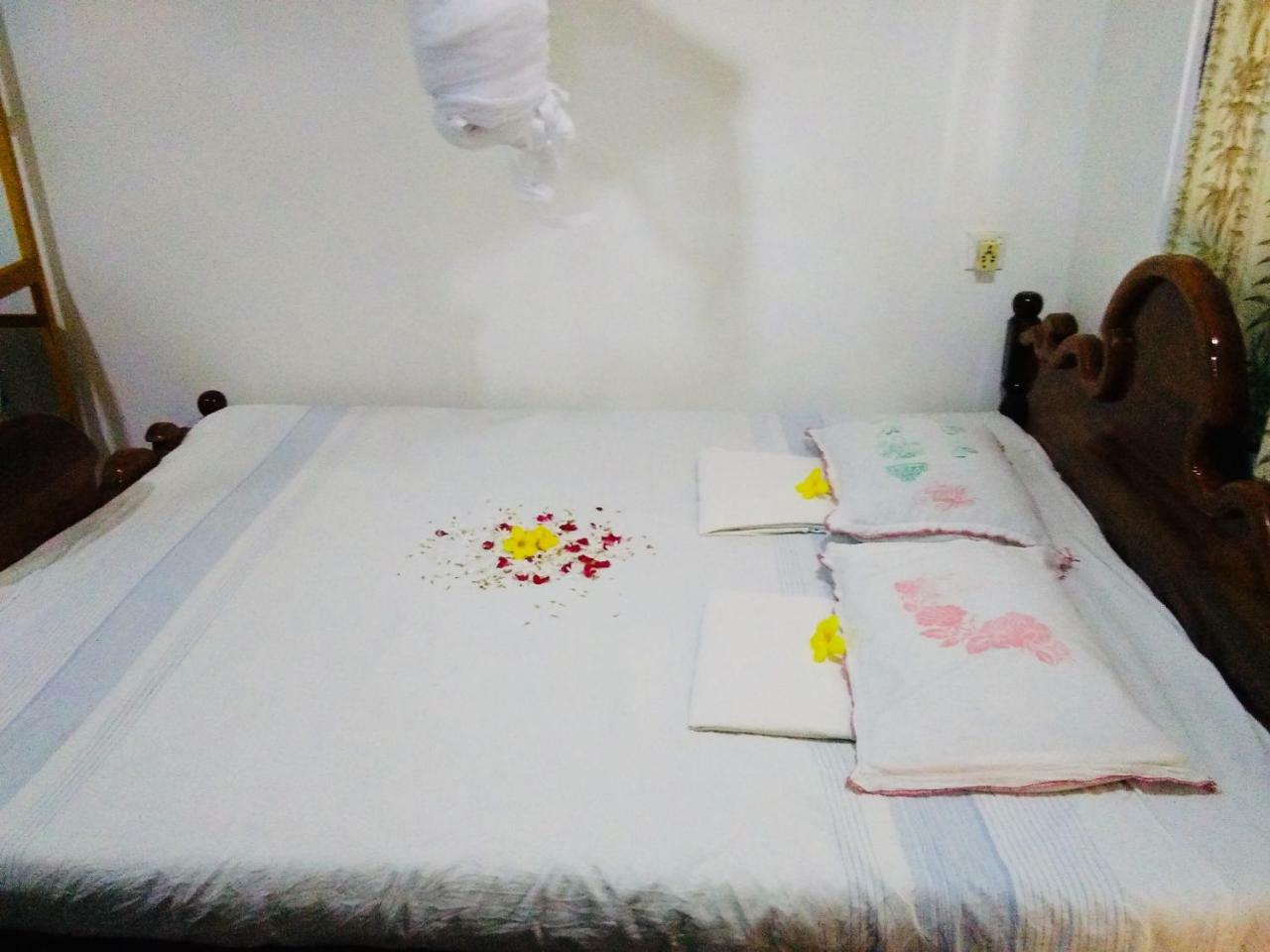 Hikkaduwa Backyard Beach Homestay Galle Eksteriør billede