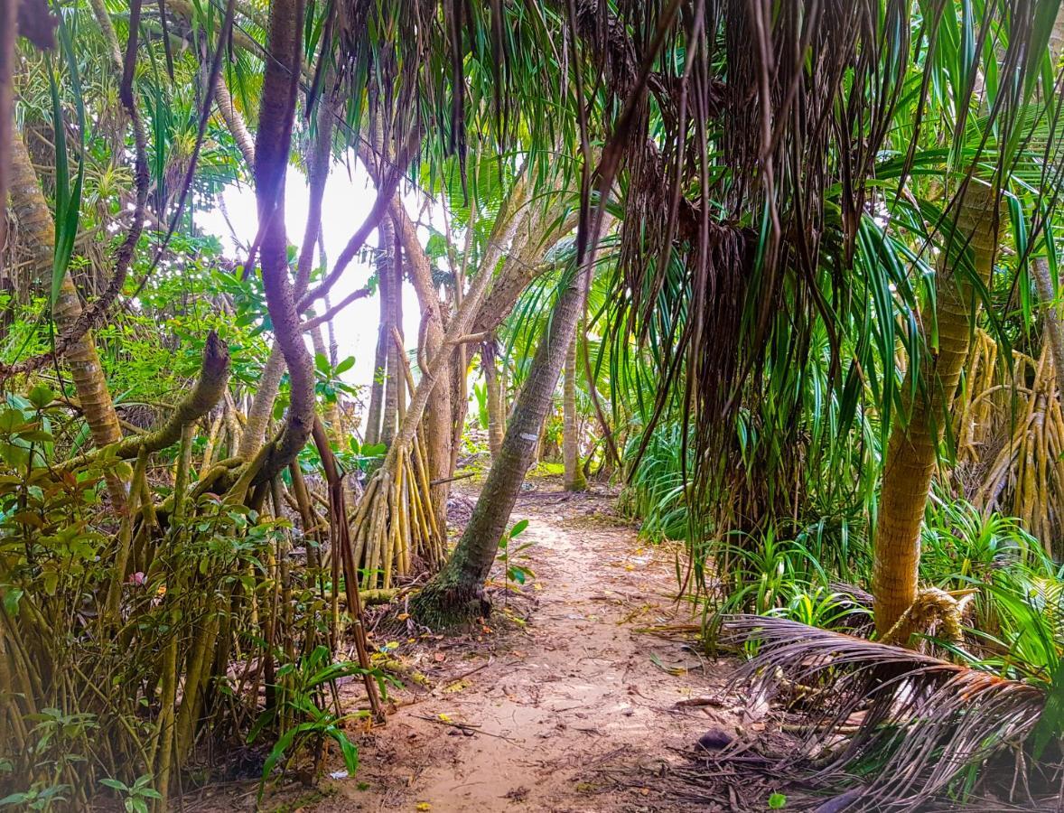 Hikkaduwa Backyard Beach Homestay Galle Eksteriør billede