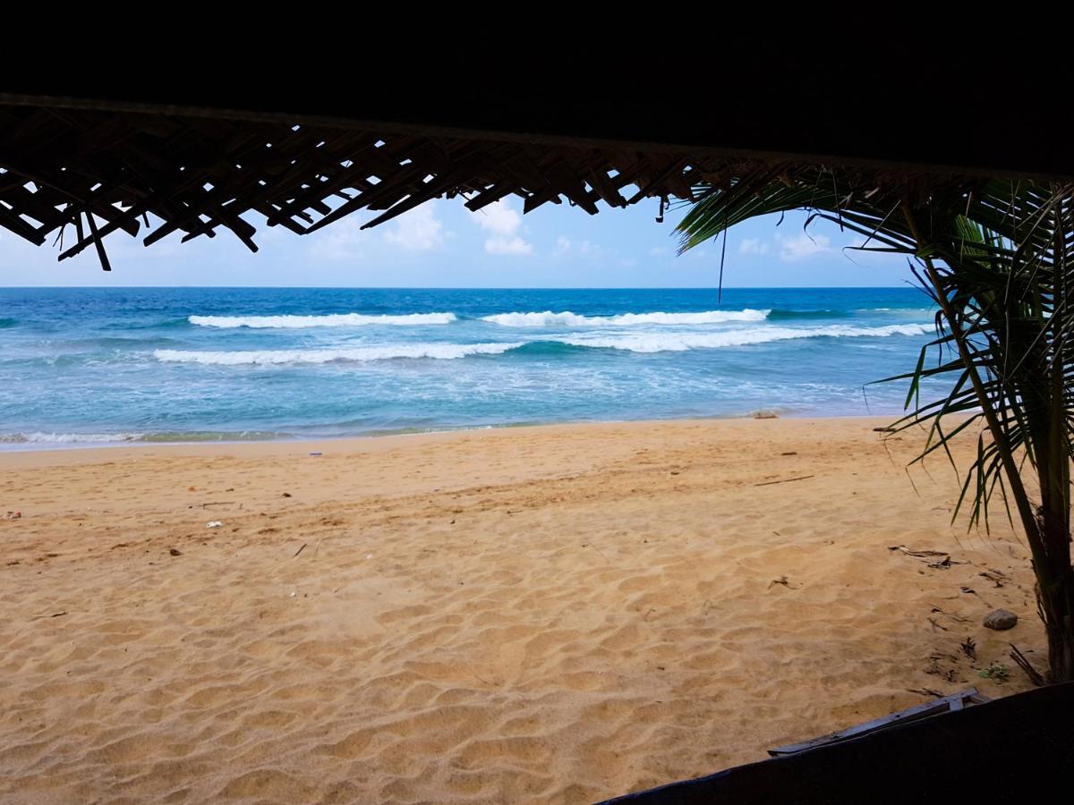Hikkaduwa Backyard Beach Homestay Galle Eksteriør billede