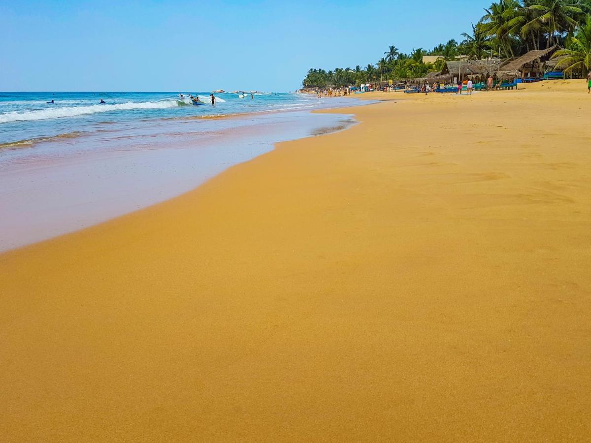 Hikkaduwa Backyard Beach Homestay Galle Eksteriør billede
