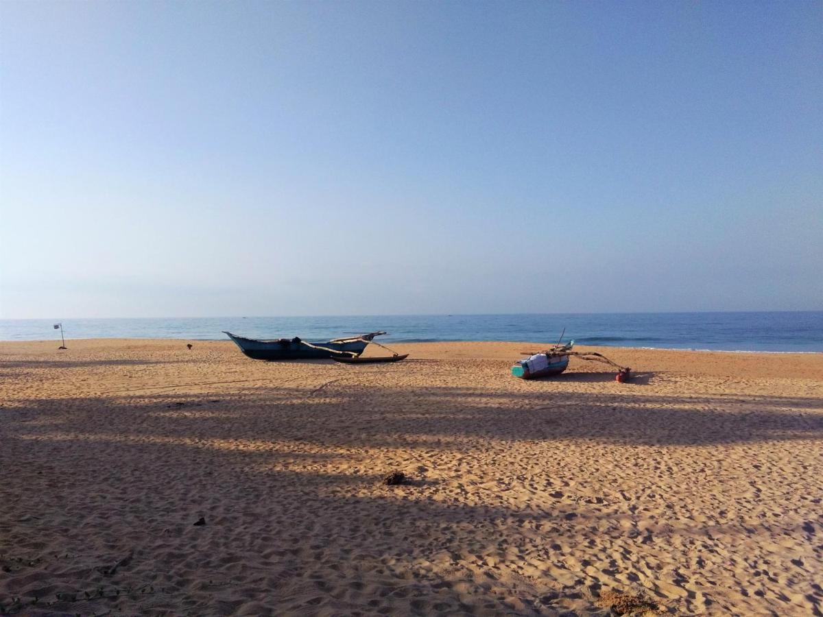 Hikkaduwa Backyard Beach Homestay Galle Eksteriør billede